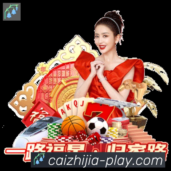 未来规划